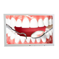 Monitor SmartView TW1902