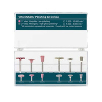Enamic Polishing Set Clinical